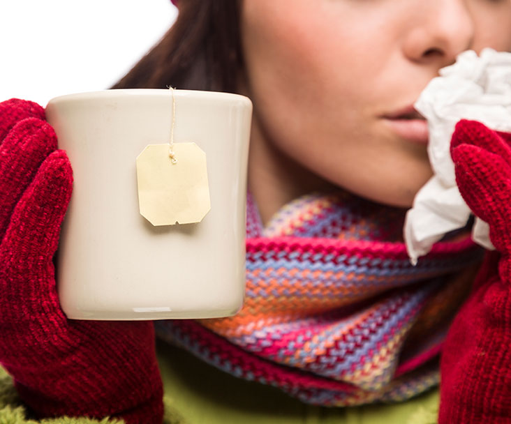 Small Business Owners, Productivity and the Flu Season