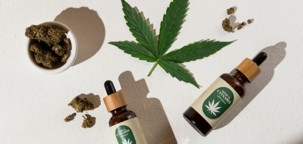 What is the medicinal use of cannabis? 5 medical pathologies that can be treated with this method
