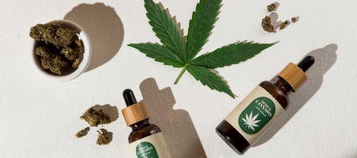 What is the medicinal use of cannabis? 5 medical pathologies that can be treated with this method
